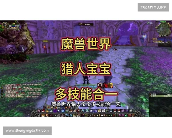 魔兽世界宝宝技能升级攻略